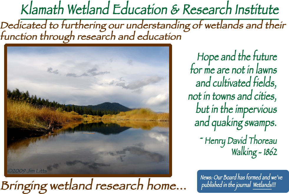 Kweri Index Image - Education (1008x665), Png Download