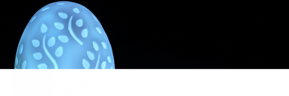 Just Like With Almost Every Other Holiday, Easter Has - Macro Photography (1004x336), Png Download