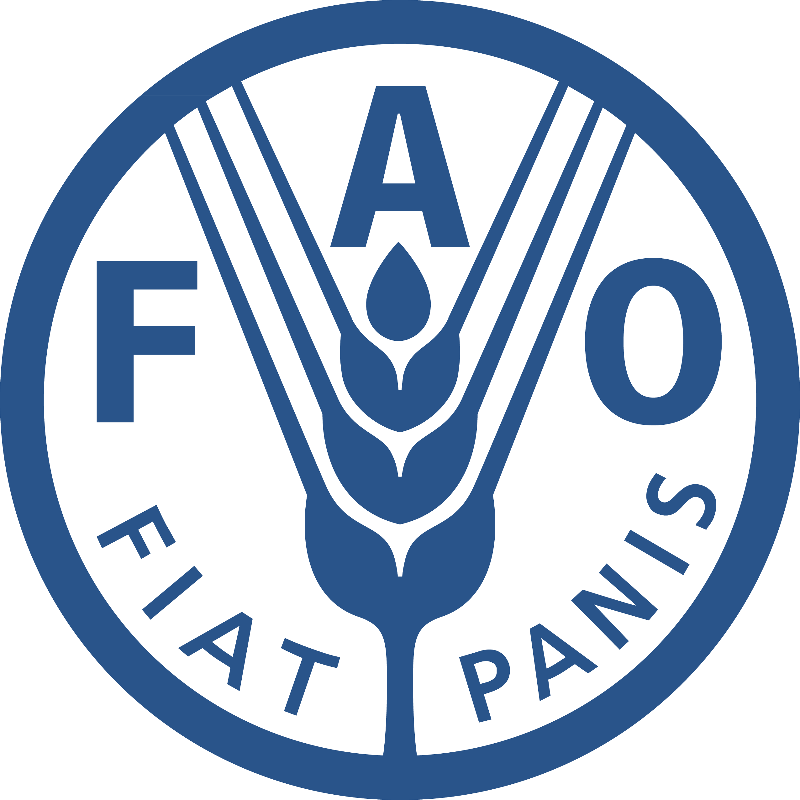 09 Am 35319 Fao Logo Gray - Food And Agriculture Organization (2552x2552), Png Download
