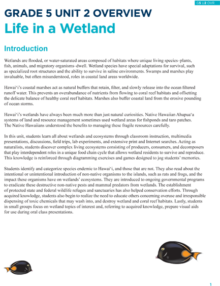 Life In A Wetland - Common Myna (440x562), Png Download