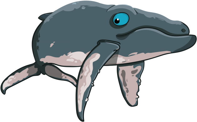 Cartoon Funny Humpback - Humpback Whale (650x478), Png Download