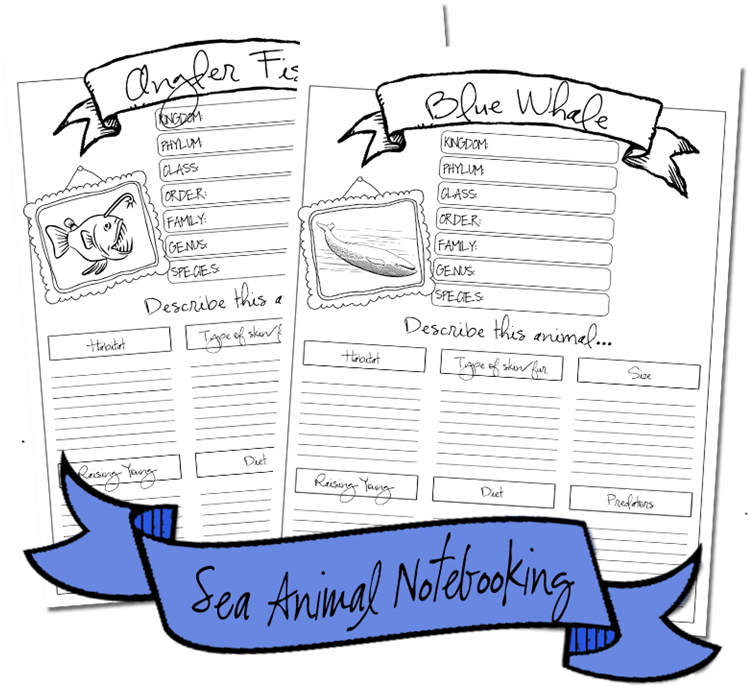 Seaanimals Notebooking2 - Cartoon (768x768), Png Download