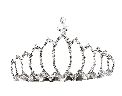 Wp Ch Tiara2 - Msroyal 5'x7'area Rug (600x478), Png Download