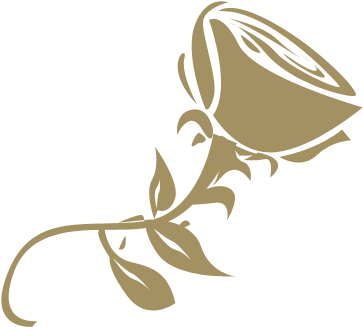 Your Wedding Day At Carlton Towers - Rose Lying Down Png (461x395), Png Download
