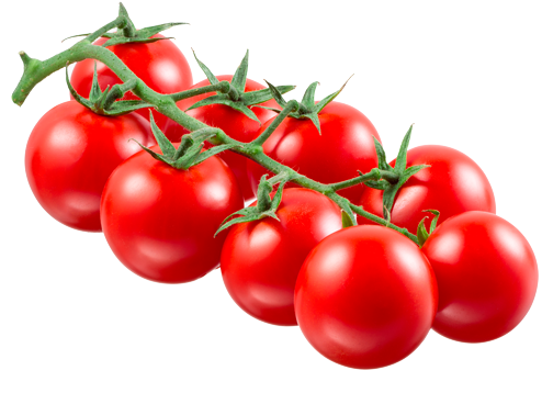 Category - Tomate Rama Png (800x620), Png Download