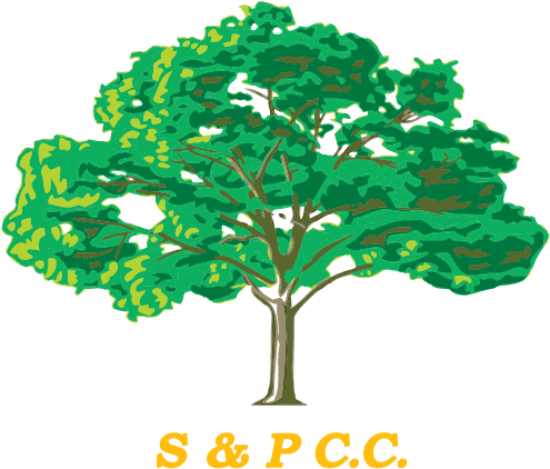 Shapwick And Polden Cricket Club - Divine Intervention V - A Guide To Healing (613x613), Png Download