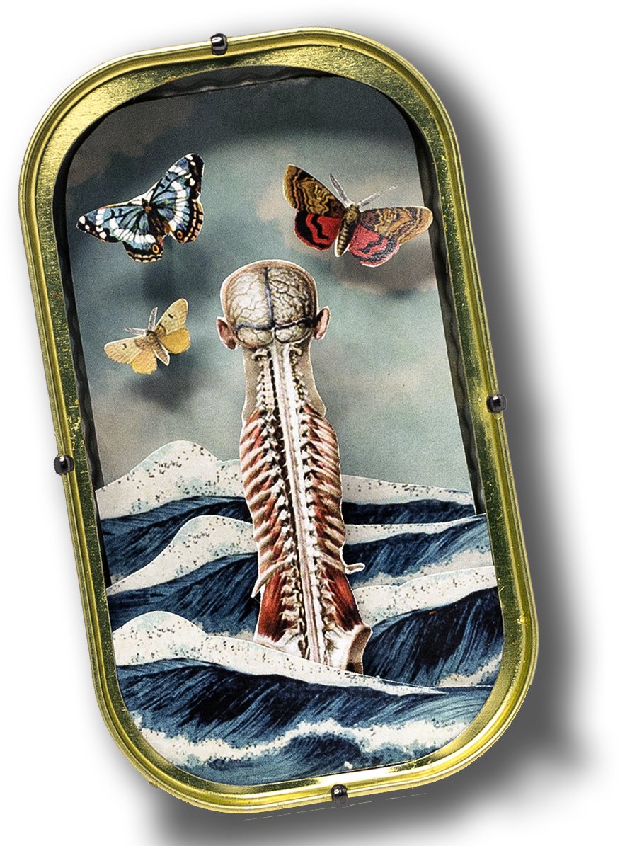 Tint O Rama Official Store Canned Souvenirs Made From - Postcard (1200x1200), Png Download