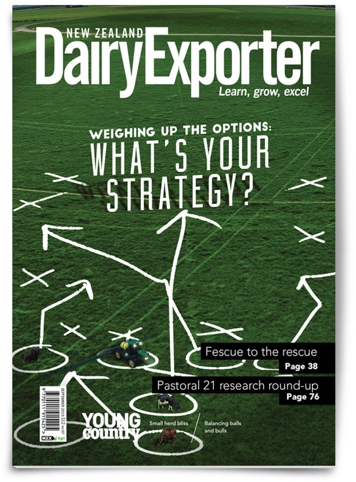 Download Transparent Art Direction, Graphic Design, Photography ...