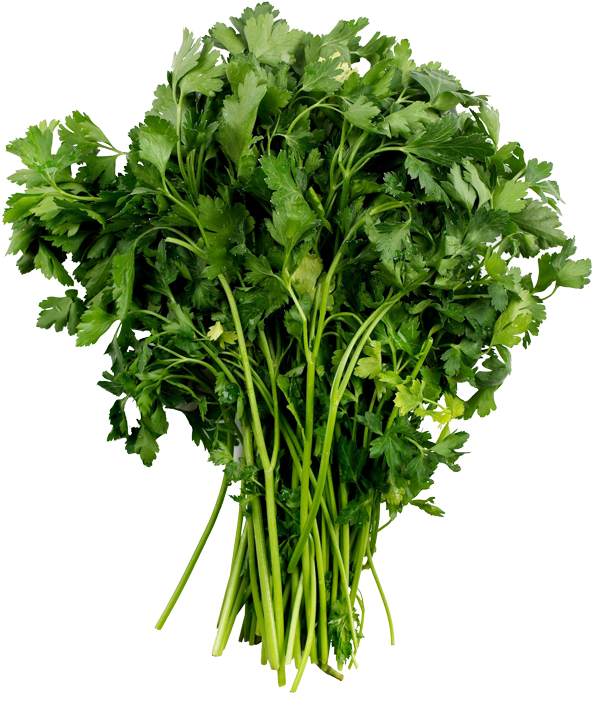 Parsley - Vegetables Top View Png (606x702), Png Download