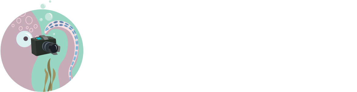 By Land Or By Sea - Champion Writers (1320x382), Png Download