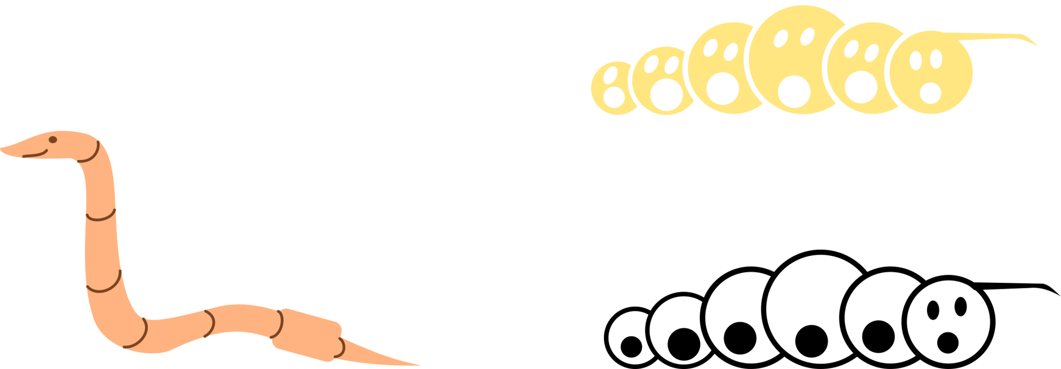 Worm Clipart Straight 13 Source - Clip Art (2156x750), Png Download
