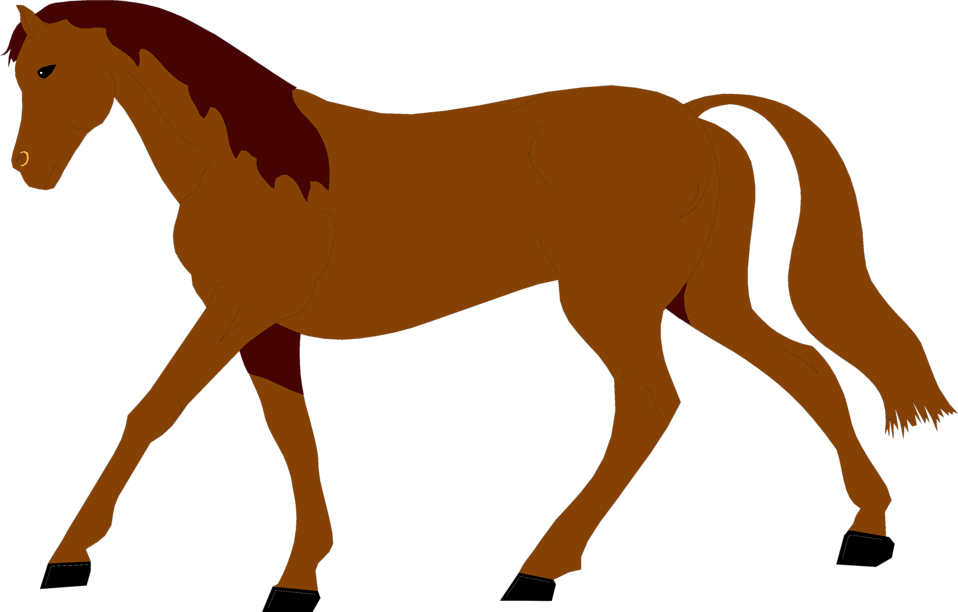 Brown Horse Png - Cómo Se Dice Caballo En Inglés (958x612), Png Download