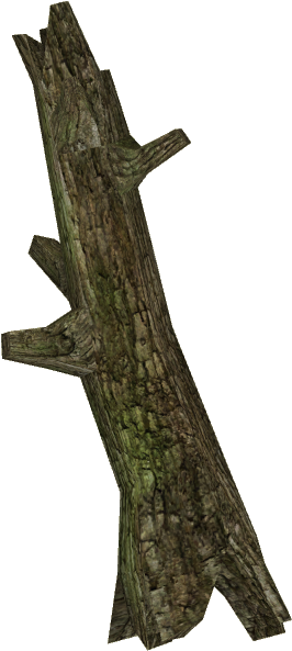 Small Temperate Log - Portable Network Graphics (592x592), Png Download