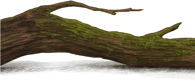 Driftwood (640x500), Png Download