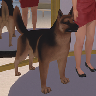 Guard Dog (600x315), Png Download
