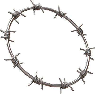Halo Barbedwire Barbed Wire Circle Angel Grunge Goth - Fence Wire Circle (407x412), Png Download