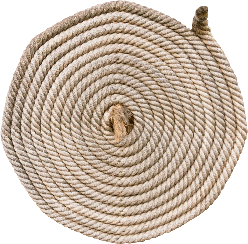 Rope Png Transparent Image - Tirecoverpro Full Color Cute Panda Staring Back (1100x1068), Png Download