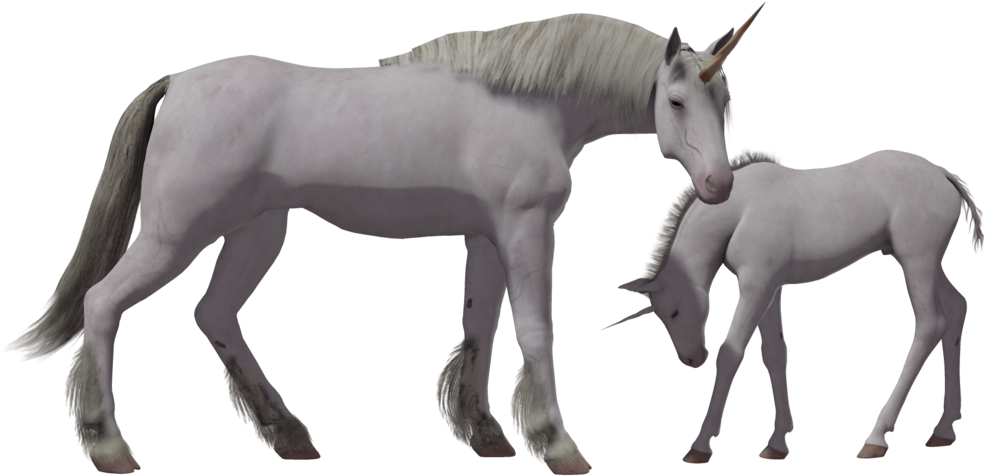 Unicorn (1024x645), Png Download