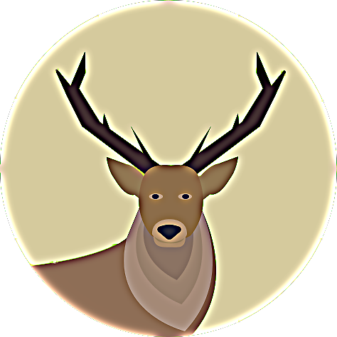 Animals Time Animals Time - Moose (474x474), Png Download