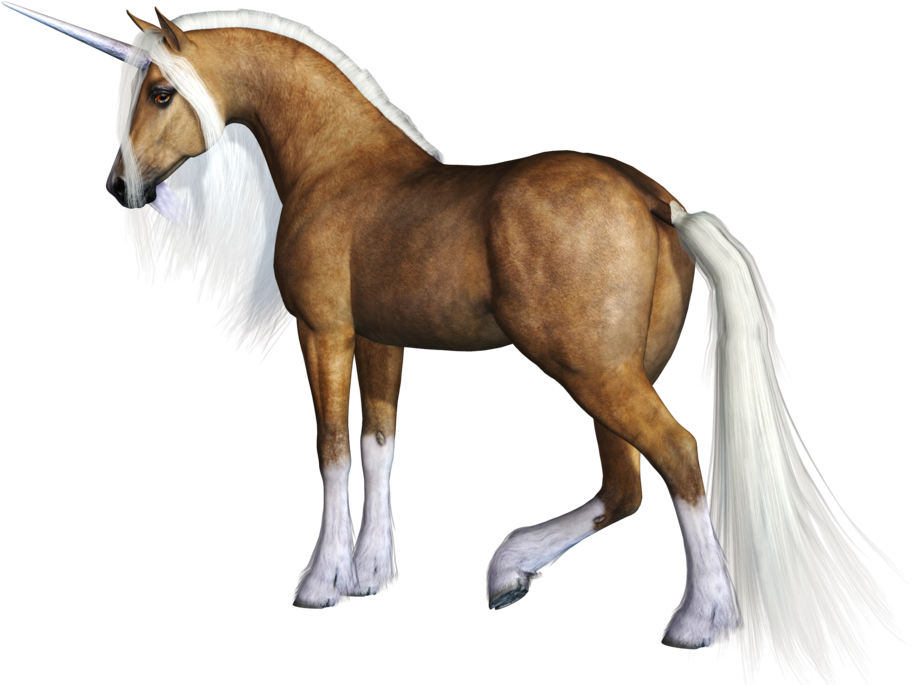 Unicorn (1024x768), Png Download