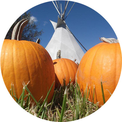 Pumpkins - Pumpkin (451x447), Png Download