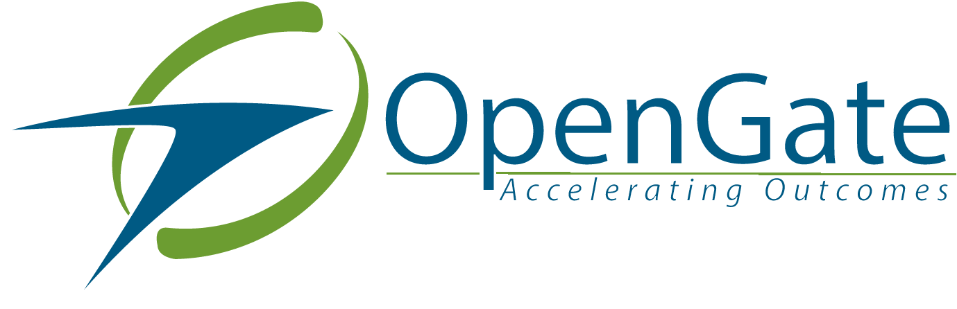 Better Solution, Better Experience, Better Future - Opengate Consulting (1379x446), Png Download