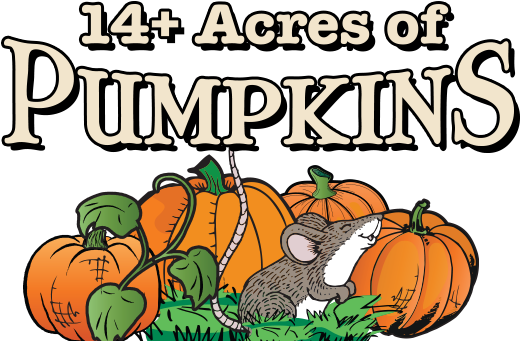 Extra Fee Attractions - Pumpkin (519x600), Png Download