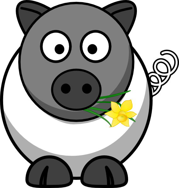 A White Pig Is No Sheep Clip Art - Cow Clip Art Transparent (570x599), Png Download