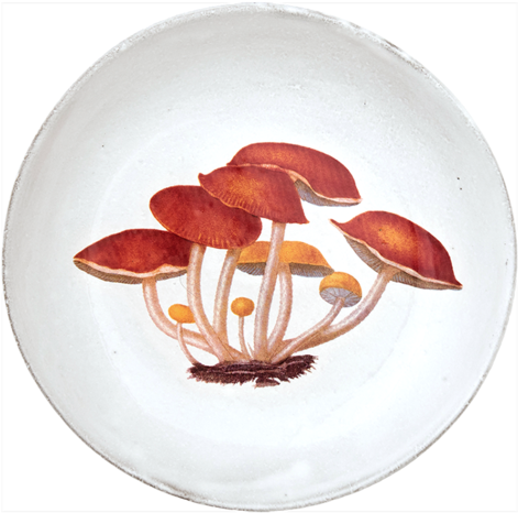 Agaric Amer Soup Bowl - Agaric (500x500), Png Download