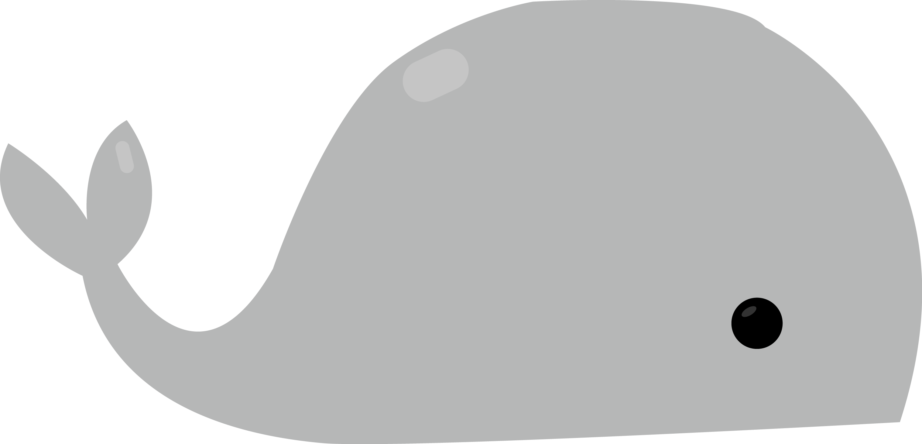 Pirate Whale Cute Whale - Circle (3035x1461), Png Download