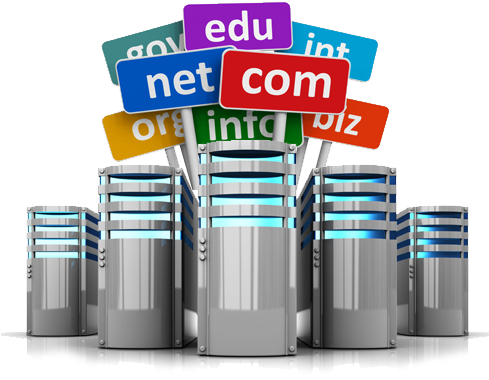 Domain Hosting Services - Create A Website In 24 Hours: A Step By Step Guide (493x429), Png Download