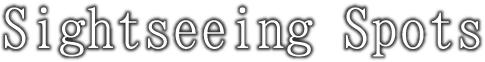 Calligraphy (1000x260), Png Download