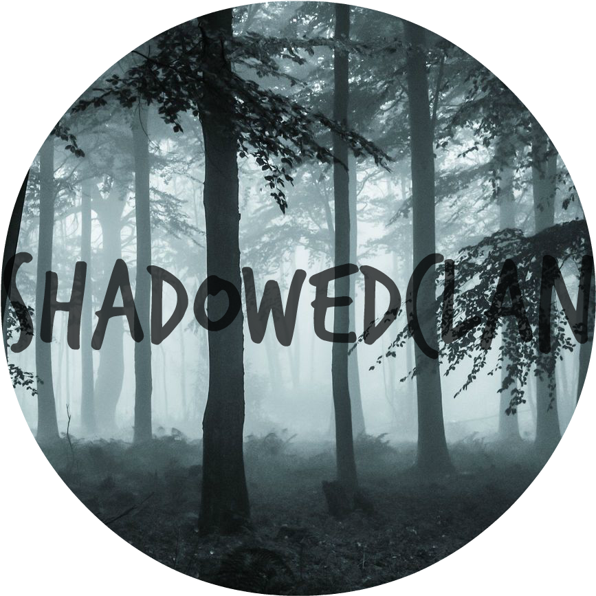 Dark Forest 002 0 - Fog Canvas Print (406mm By 305mm 16in By 12in) (920x889), Png Download