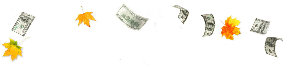 My Lottery Rewards - Cash (991x232), Png Download