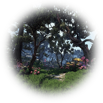 All Sorts Of Mushroom Grow In This Damp And Dark Forest - Icon (360x360), Png Download