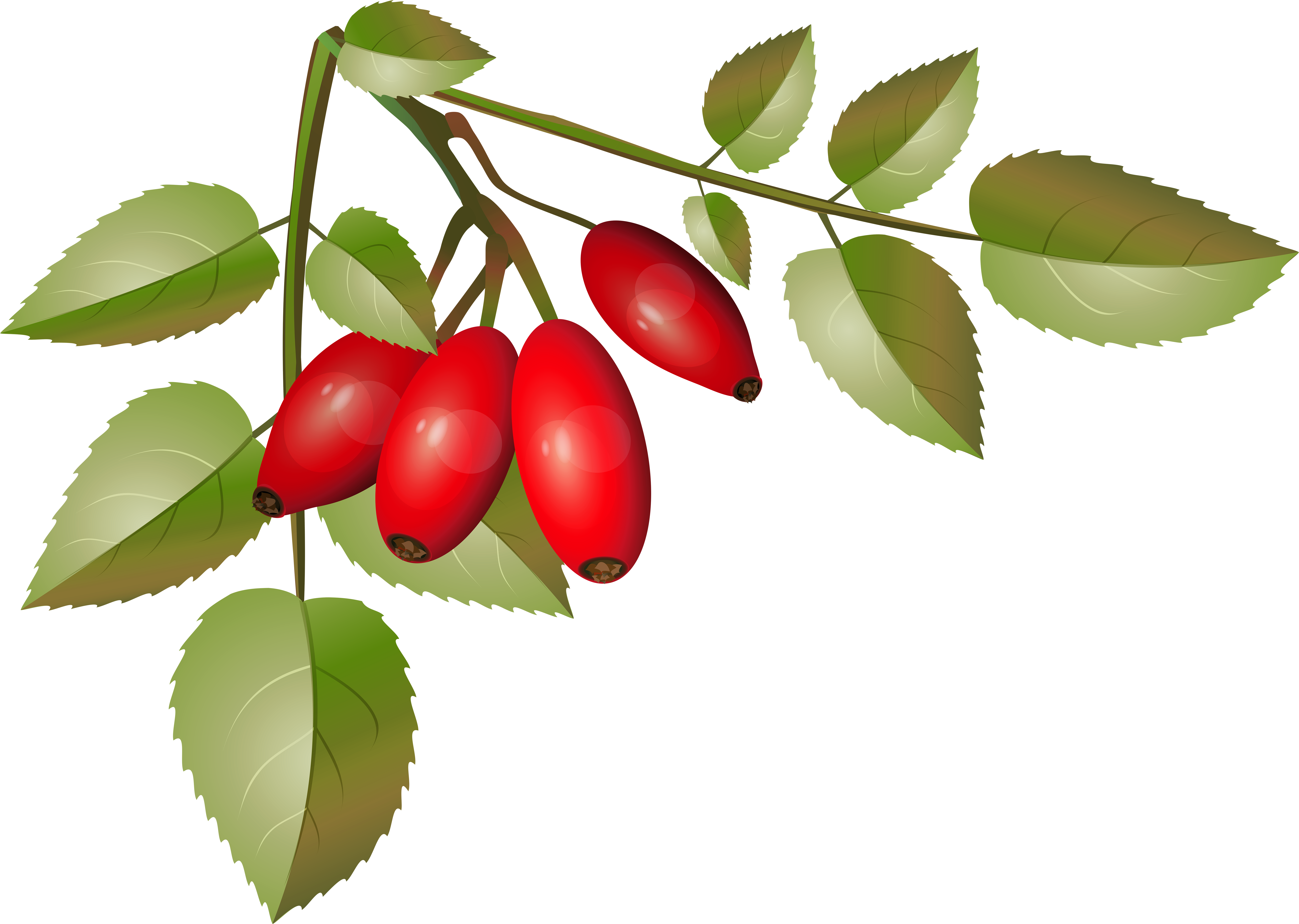 Clip Art (8000x5725), Png Download