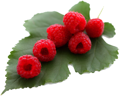 Raspberry Heritage - Pennsylvania (395x317), Png Download