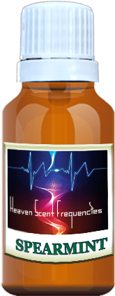 Eo-126 Spearmint - Gum Trees (300x500), Png Download