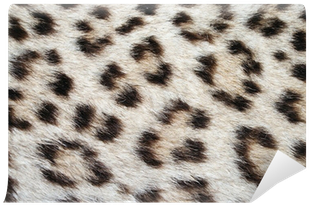 Gartner Studios Junior Notebook, Assorted (400x400), Png Download