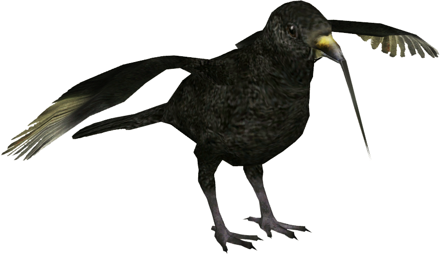 Black Mamo - American Crow (907x907), Png Download