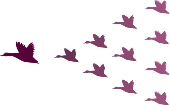 Geese Flock Leadership - Leadership Geese (580x358), Png Download
