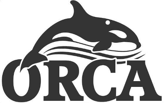 Orca Tidy Format=1500w (559x350), Png Download