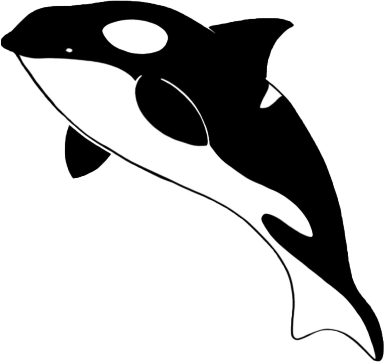 Illustration By Cole Sandhofer - Illustration (1536x2048), Png Download