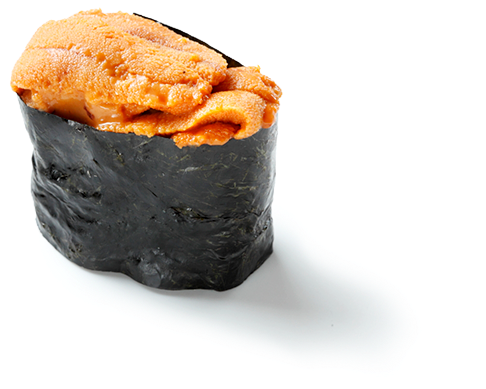 Uni - Sea Urchin (640x471), Png Download