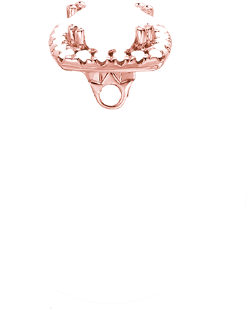 Halo-rose - Pearl (399x497), Png Download