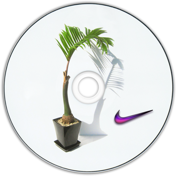 Source - Hanakoautomatics - Vaporwave (600x600), Png Download