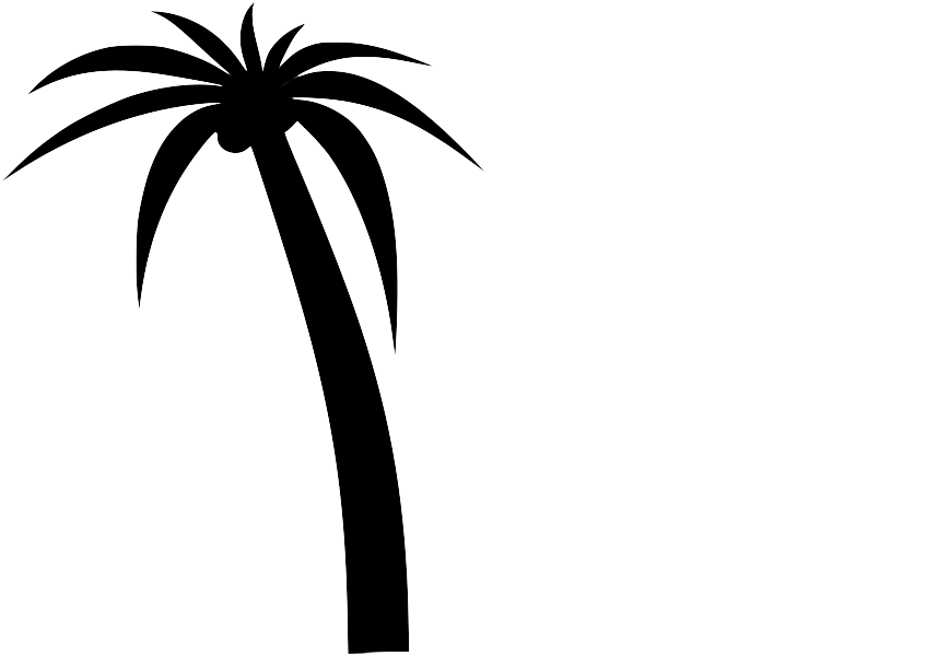 Transparent My Editcollage - Palm Tree Clip Art (892x649), Png Download