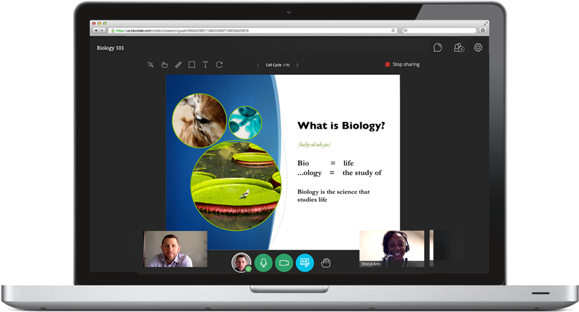 Blackboard Collaborate Biology Class Displayed On Laptop - Elluminate Inc. (1010x550), Png Download