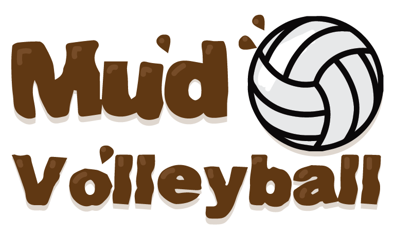 Mud Volleyball Clipart 2 By Shirley - Polska Volleyball Ornament (round) (768x466), Png Download
