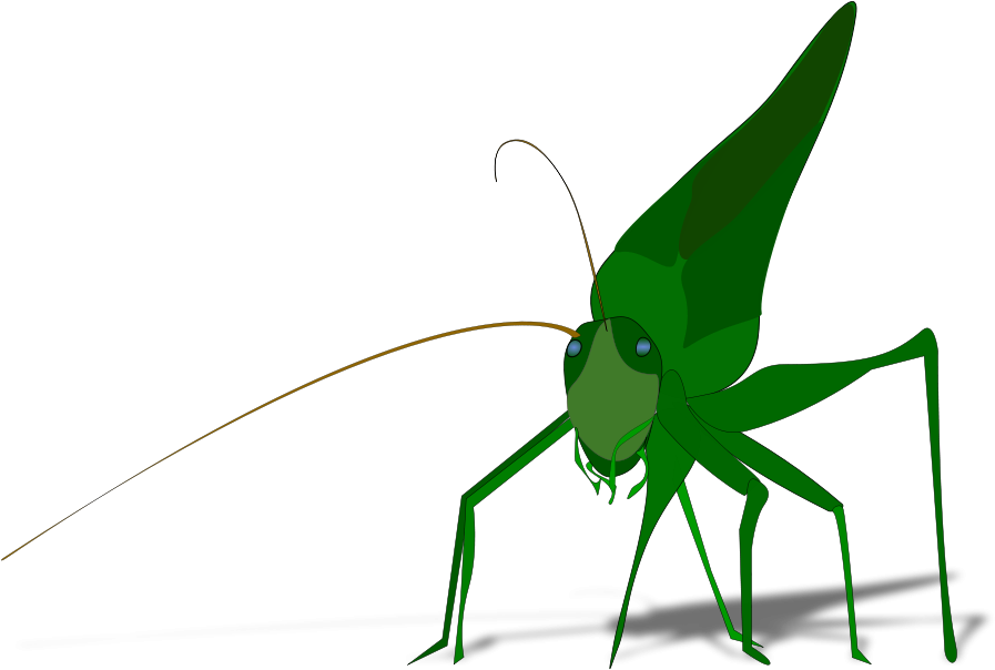 Grass Clipart, Vector Clip Art Online, Royalty Free - Grasshopper Clipart (900x625), Png Download